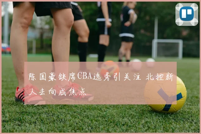 陈国豪缺席CBA选秀引关注 北控新人去向成焦点