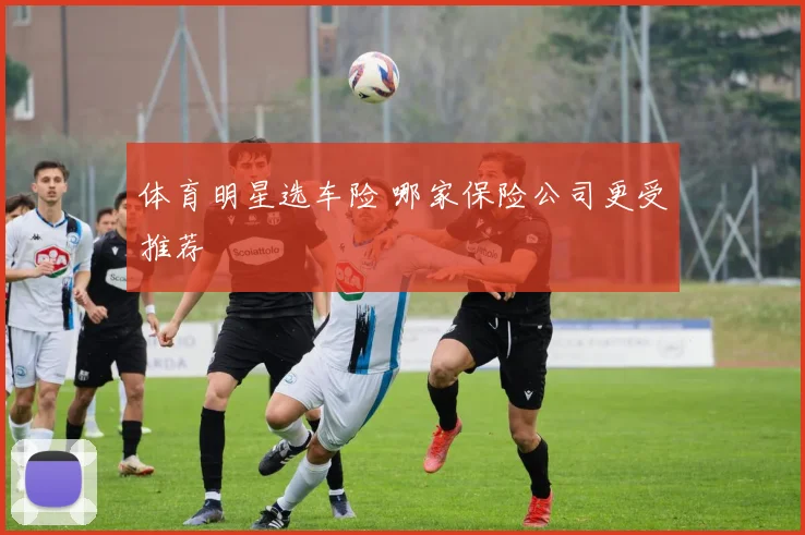 体育明星选车险 哪家保险公司更受推荐