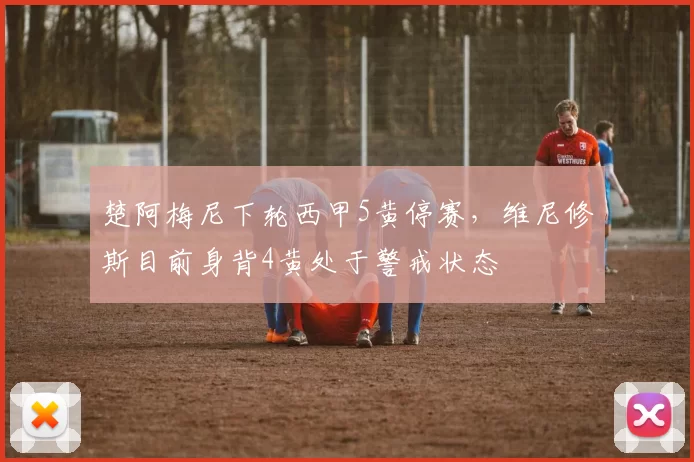 楚阿梅尼下轮西甲5黄停赛，维尼修斯目前身背4黄处于警戒状态