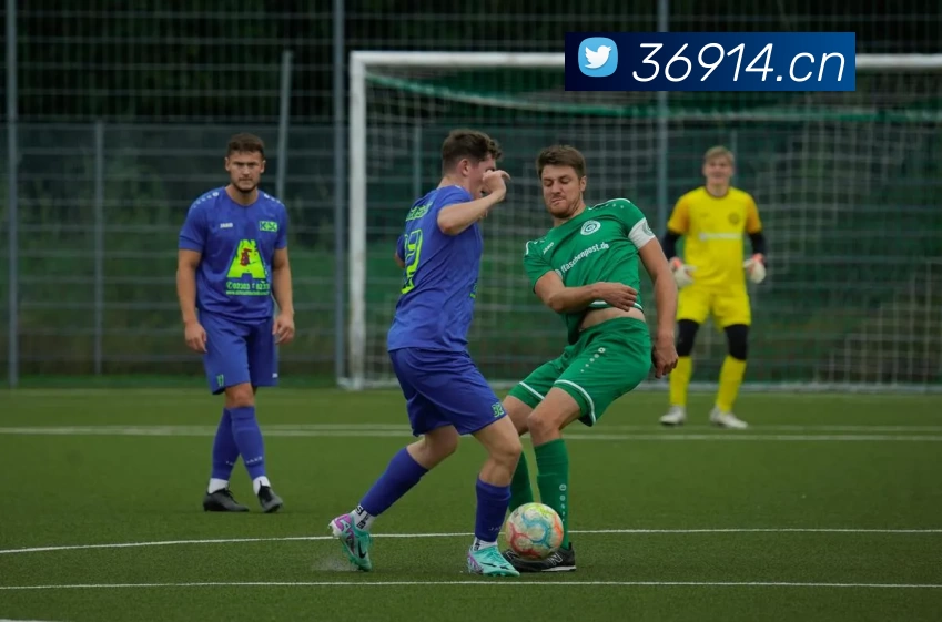 多媒体互动体验